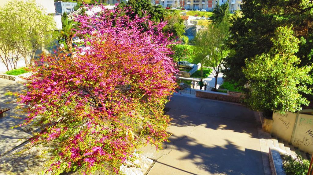 ספליט Apartment Priska חדר תמונה